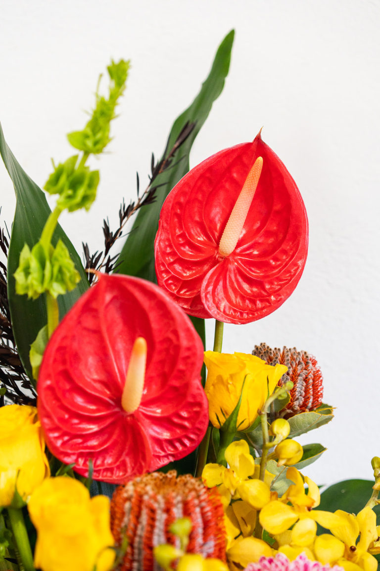 Flowers Albury Wodonga Flower Delivery Albury Florist Centre